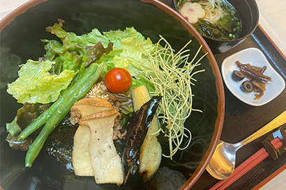 もろみ味噌とたっぷり野菜のひしお丼