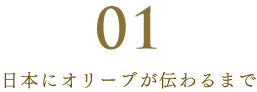 日本にオリーブが伝わるまで