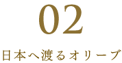 日本へ渡るオリーブ