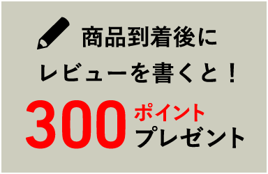 レビューを書くとポイントプレゼント