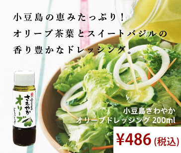 オリーブオイルが保湿 きめ細かい泡立ち さわやかオリーブオイルドレッシング 200ml 486円