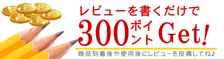 レビューを投稿して頂いたらポイントプレゼント